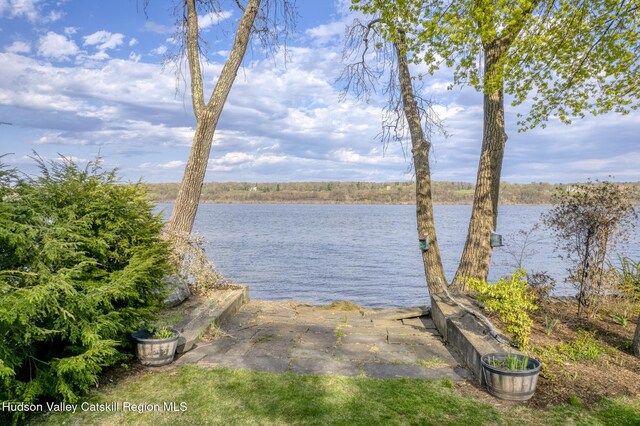 206 Riverside Dr, Malden On Hudson, NY 12453 - photo 48