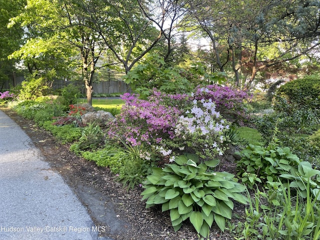 206 Riverside Dr, Malden On Hudson, NY 12453 - photo 54