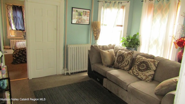 30 Andrew St, Kingston, NY 12401 - photo 8
