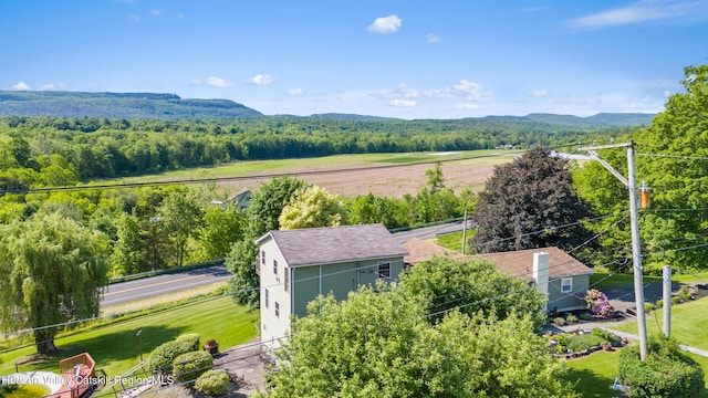 19 Pompeys Cave Rd, High Falls, NY 12440 - drone / aerial view of a heavily wooded area