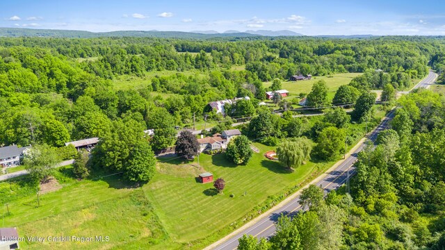 19 Pompeys Cave Rd, High Falls, NY 12440 - drone / aerial view of a heavily wooded area