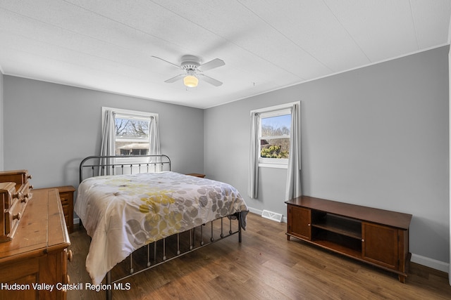 19 Pompeys Cave Rd, High Falls, NY 12440 - bedroom featuring multiple windows, wood finished floors, and baseboards