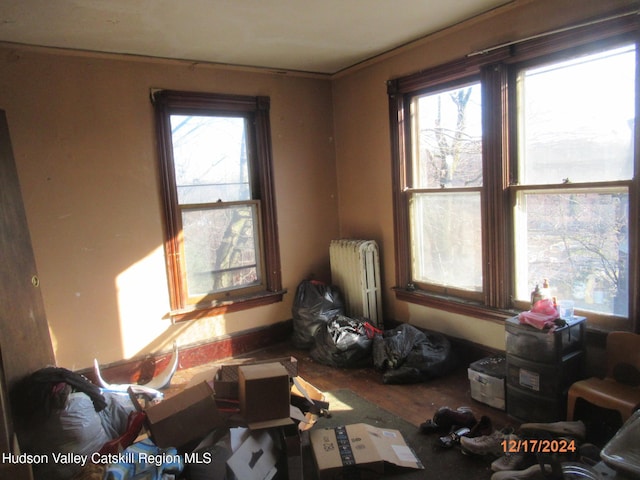 interior space with plenty of natural light, radiator, and wood finished floors