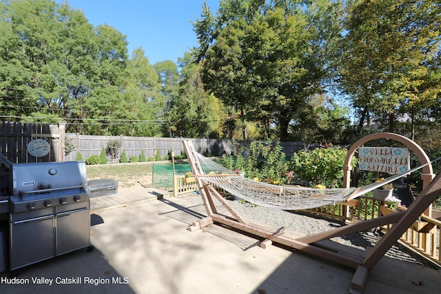 651 Glasco Tpke, Saugerties, NY 12477 - view of patio with a fenced backyard and grilling area