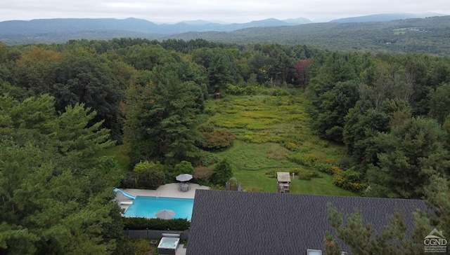 126 Shaker Ridge Dr, Canaan, NY 12029 - aerial view of a heavily wooded area, a mountainous background, and a pool