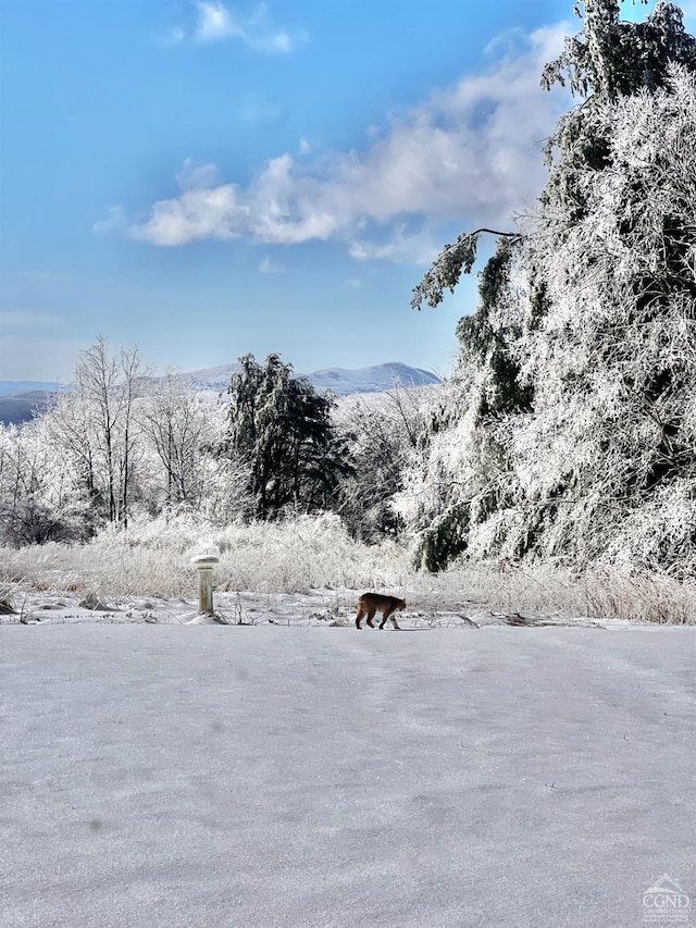 126 Shaker Ridge Dr, Canaan, NY 12029 - view of mountain background