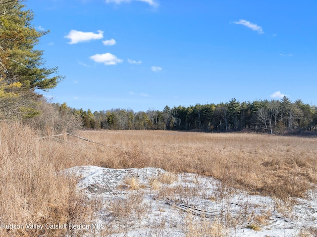 1930 Old Kings Hwy, Saugerties, NY 12477 - photo 5