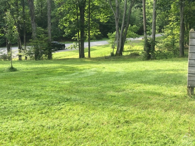 81 Wachter Blvd, Cairo, NY 12413 - photo 35