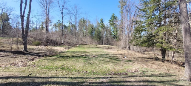 81 Wachter Blvd, Cairo, NY 12413 - photo 39