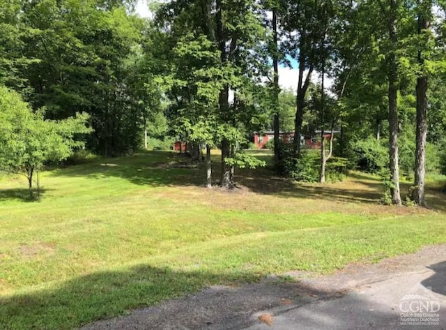 81 Wachter Blvd, Cairo, NY 12413 - photo 36