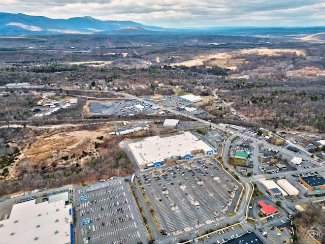 17 Bogardus Ave, Catskill, NY 12414 - view of property location featuring a mountain backdrop