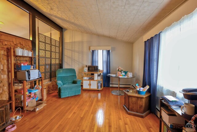 17 Bogardus Ave, Catskill, NY 12414 - living area with plenty of natural light, baseboard heating, wood-type flooring, and lofted ceiling