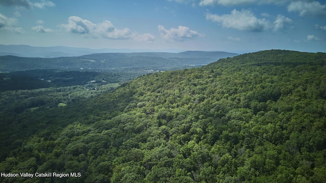 995 State Route 43, Stephentown, NY 12169 - photo 20