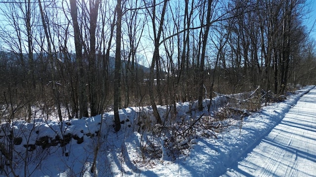 0 Trail View Ln, Windham, NY 12496