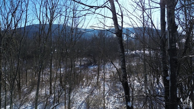 0 Trail View Ln, Windham, NY 12496