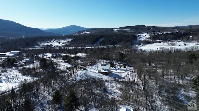 0 Trail View Ln, Windham, NY 12496