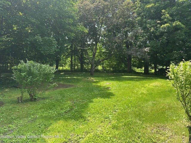2206 County Route 7, Copake, NY 12516 - view of grassy yard