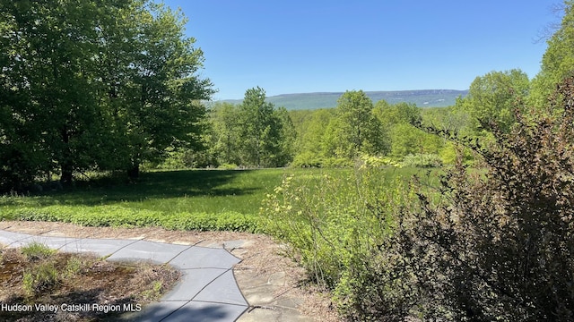 592 Sand Hill Rd, Gardiner, NY 12525 - photo 11