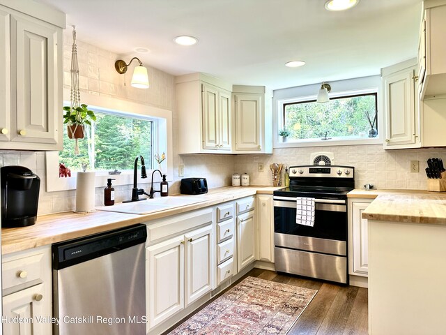 209 Griffin Rd, East Jewett, NY 12424 - photo 9