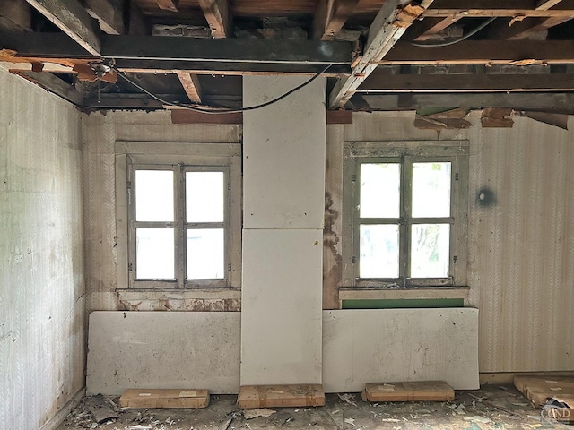 miscellaneous room featuring healthy amount of natural light