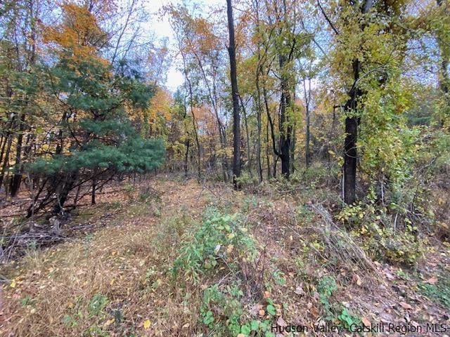 TBD Old Stage Rd, Saugerties NY, 12477 land for sale