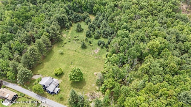 21 Schroon Hill Rd, Kerhonkson, NY 12446 - photo 38