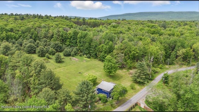 21 Schroon Hill Rd, Kerhonkson, NY 12446 - photo 41