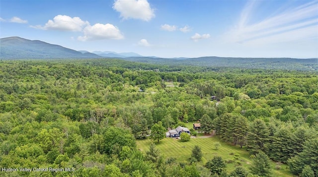 21 Schroon Hill Rd, Kerhonkson, NY 12446 - photo 39