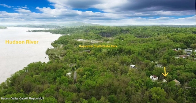 154 John St, East Kingston, NY 12401 - bird's eye view of a forest and a nearby body of water