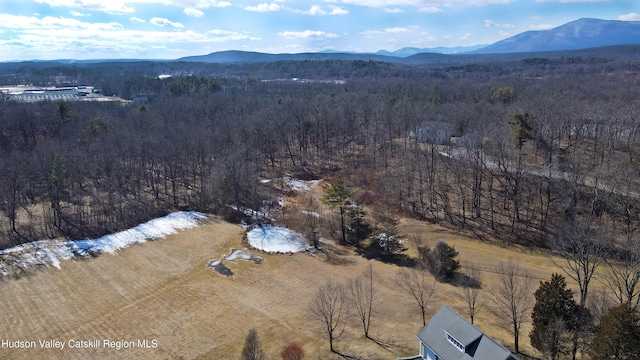 bird's eye view with a mountain view and a wooded view