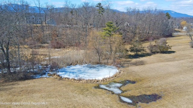 3959 Rt 9w, Saugerties, NY 12477 - view of yard featuring a mountain view