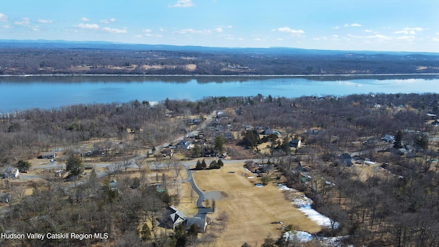 birds eye view of property with a water view and a view of trees