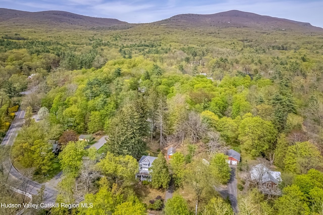drone / aerial view with a view of trees and a mountain view