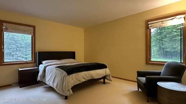 4 Moonstone Rd, New Paltz, NY 12561 - photo 22