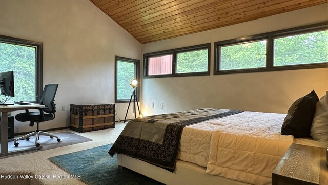 4 Moonstone Rd, New Paltz, NY 12561 - photo 19