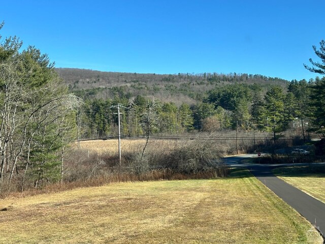 263 Old Hudson Tpke, Canaan, NY 12029 - photo 42