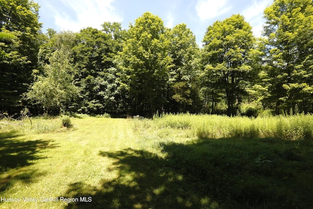 1186 Plains Rd, Wallkill, NY 12589 - photo 25