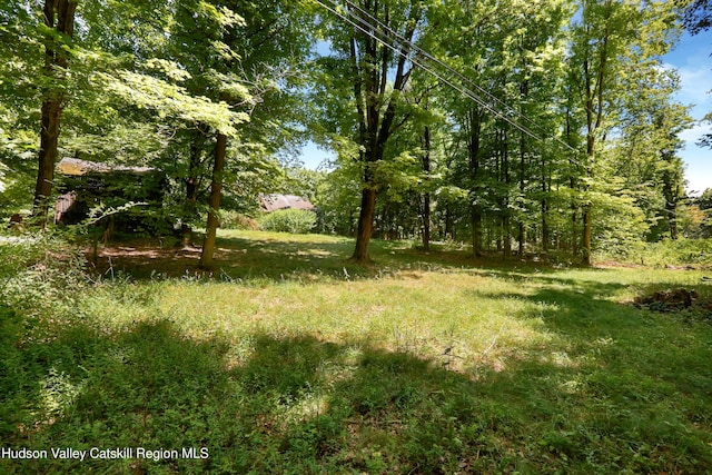 1186 Plains Rd, Wallkill, NY 12589 - photo 21