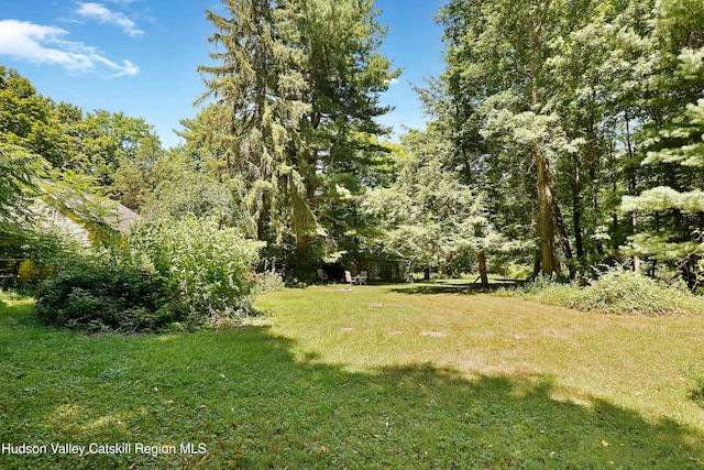 1186 Plains Rd, Wallkill, NY 12589 - photo 17