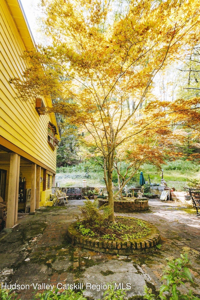 view of yard with a patio area