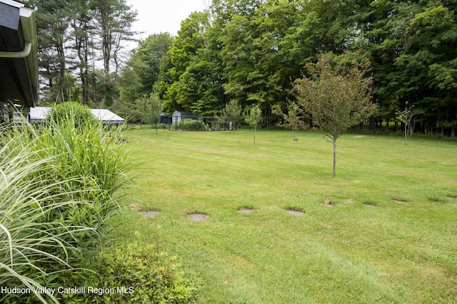 445 Lt J G Brender Hwy, Liberty, NY 12734 - photo 50
