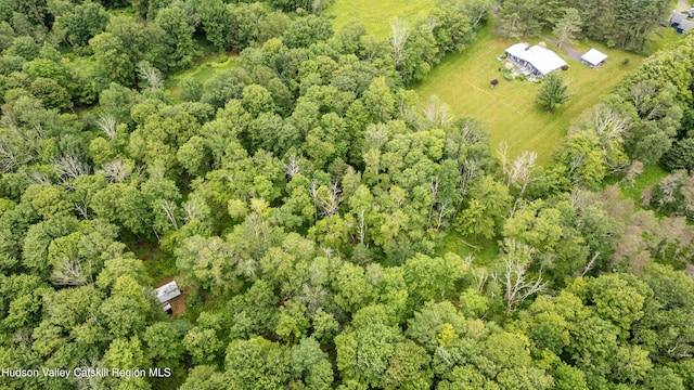 445 Lt J G Brender Hwy, Liberty, NY 12734 - photo 52