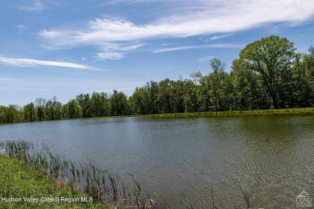 120 Rte 203, Austerlitz, NY 12017 - photo 13