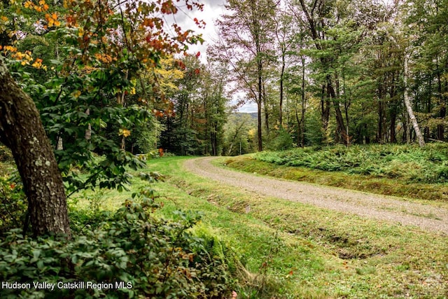 120 Rte 203, Austerlitz, NY 12017 - photo 2