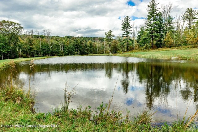 120 Rte 203, Austerlitz, NY 12017 - photo 12