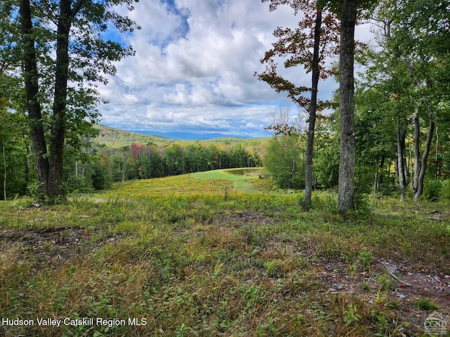 120 Rte 203, Austerlitz, NY 12017 - photo 4