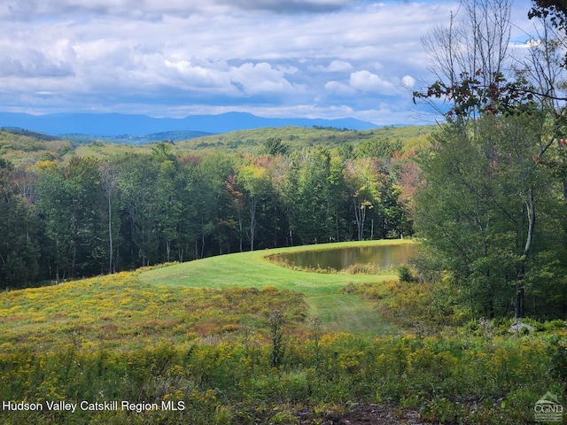 120 Rte 203, Austerlitz, NY 12017 - photo 5