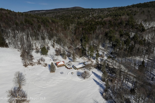 snowy aerial view featuring a mountain view