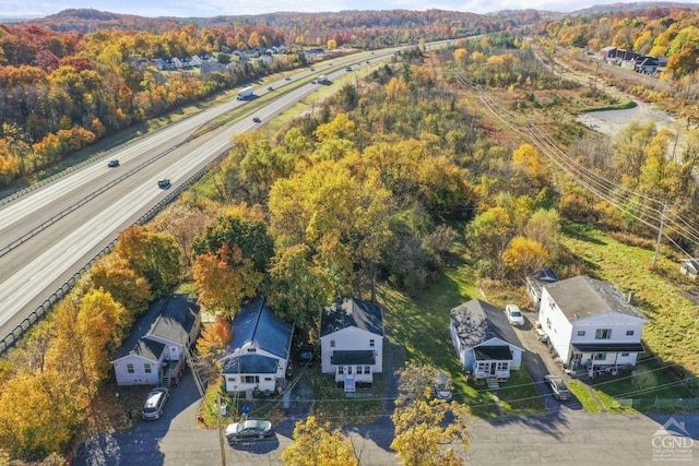 124 Cottage St, Ravena, NY 12143 - drone / aerial view of a highway and a heavily wooded area