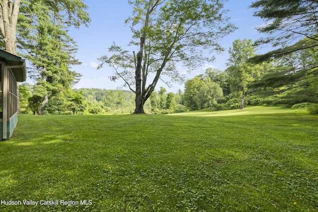 293 Pine Bush Rd, Stone Ridge, NY 12484 - view of green lawn
